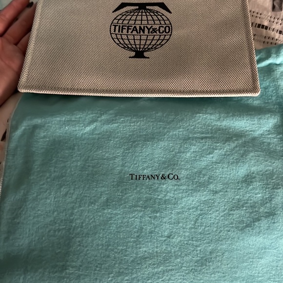 Tiffany & Co Canvas Bag - Picture 7 of 10
